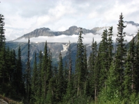 Blaeberry River